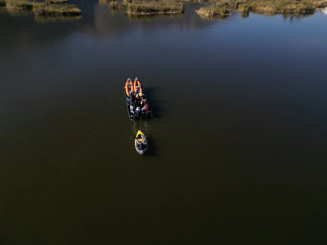 Bird watching trip on the lake | Go deep into nature (Tuesday, Saturday)