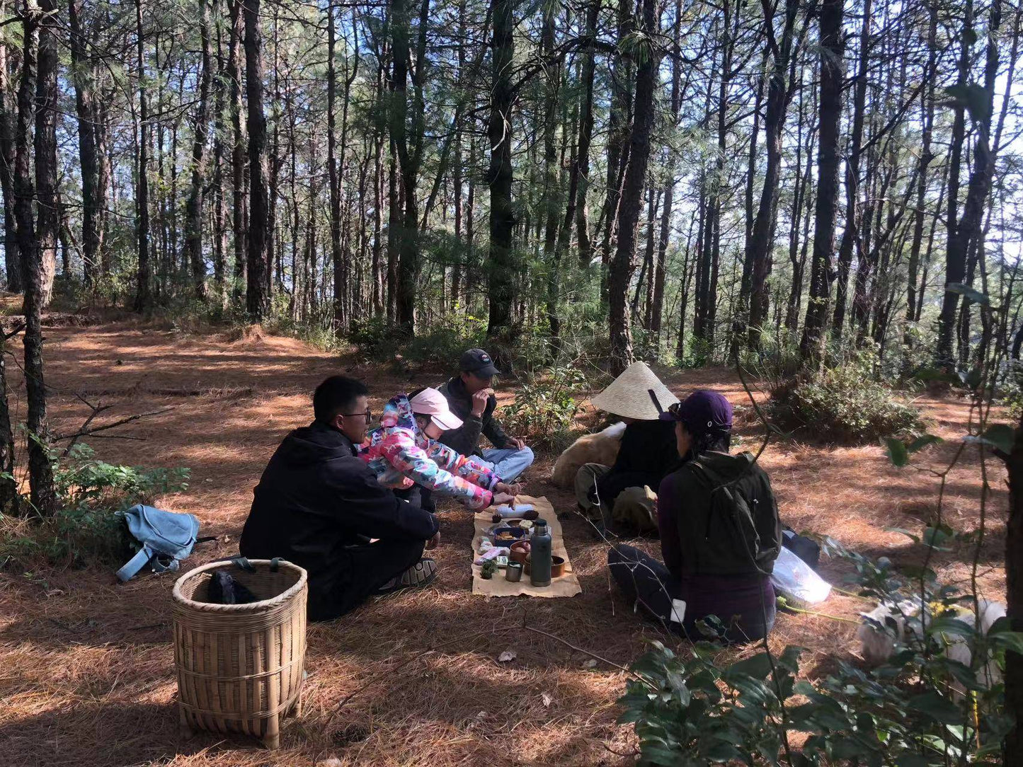 広い松坪軽歩行 | 田園・小川・森 