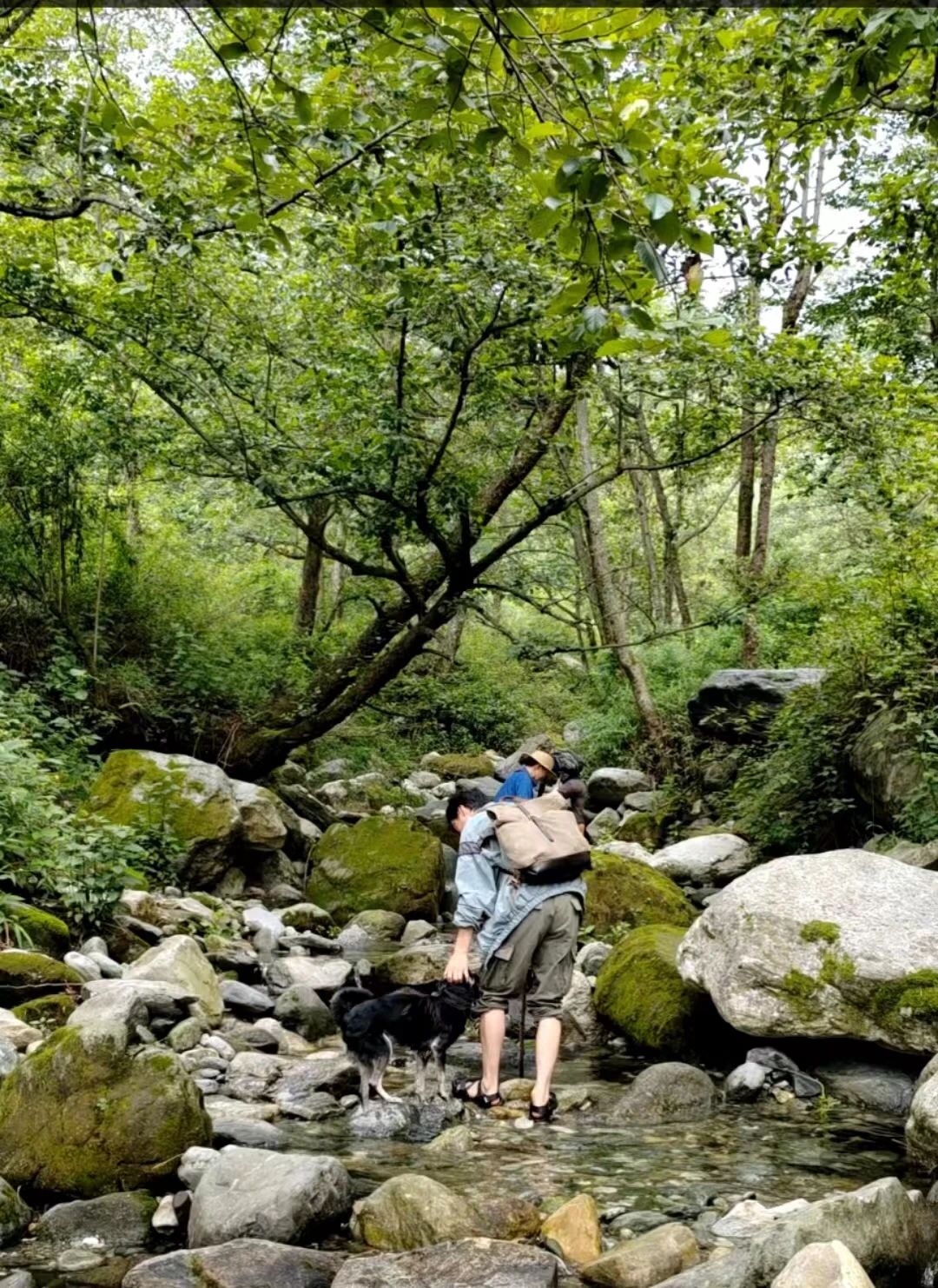 Caminata por el río en el arroyo para niños de 6 años en adelante