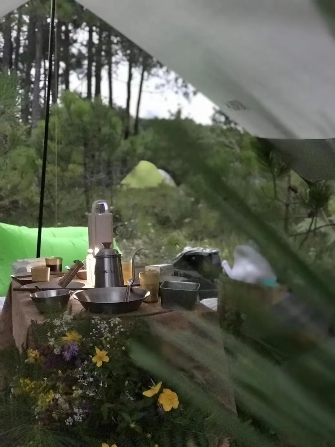 Acampada en la isla y en el bosque del lago | Embalse de Jizi