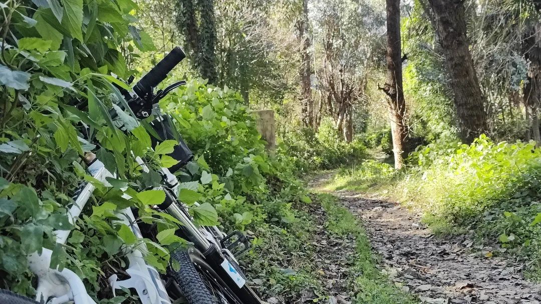 Radfahren rund um Dali | Die Dörfer und Menschen am Fuße des Cangshan-Bergs erkunden