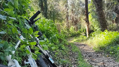 Radfahren rund um Dali | Die Dörfer und Menschen am Fuße des Cangshan-Bergs erkunden