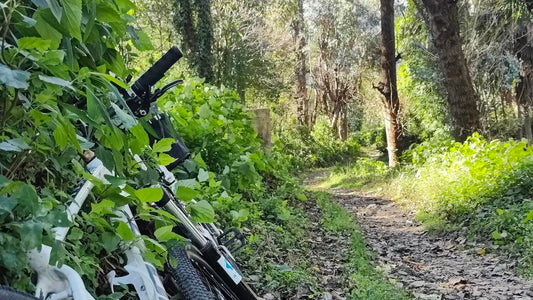 大理周辺を自転車で巡る | 苍山の麓にある村と人々を探検する 