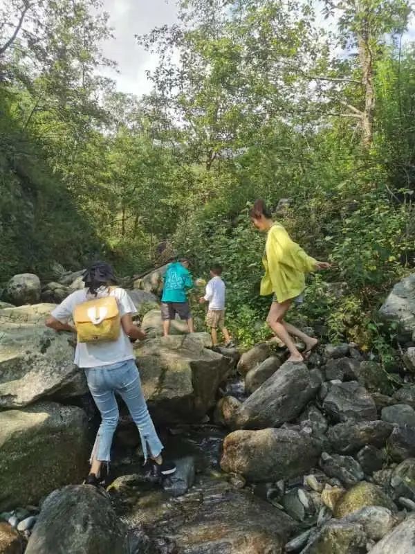 Caminata por el río en el arroyo para niños de 6 años en adelante