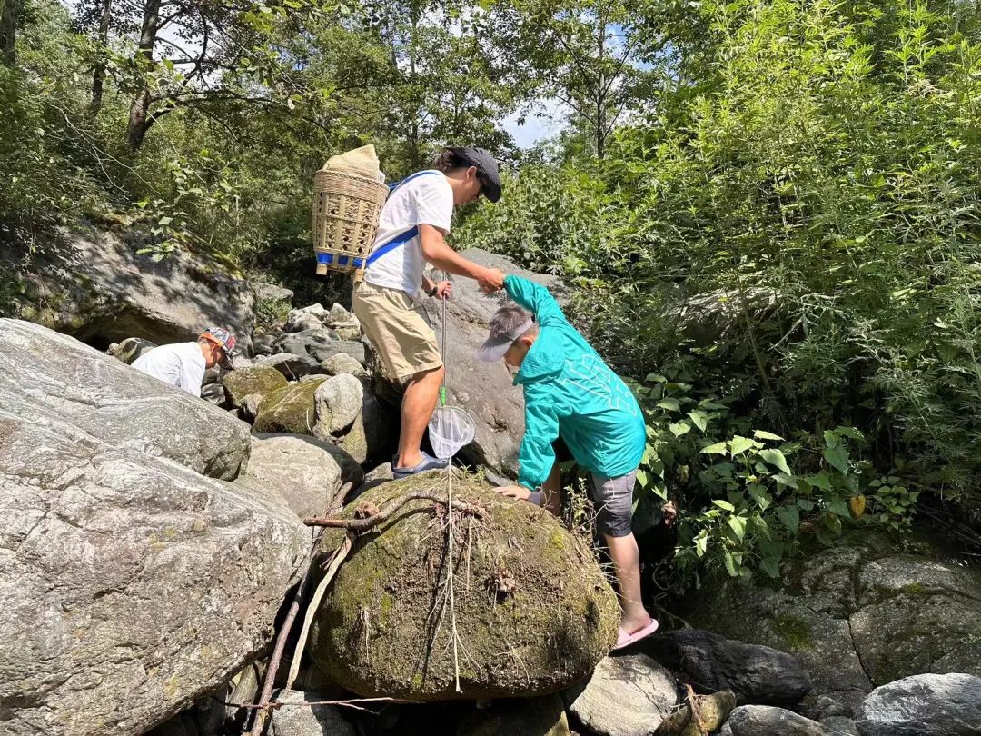 Caminata por el río en el arroyo para niños de 6 años en adelante