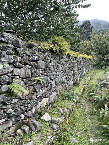 去鳳羽傳統市集趕集| 山谷裡的茶馬古鎮(每週二)