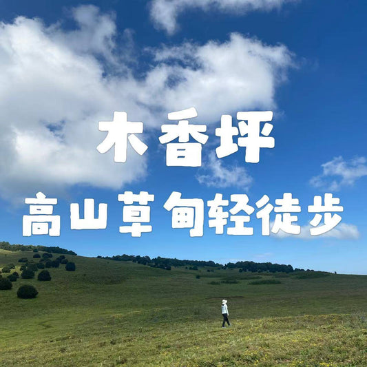 Muxiangping｜Light hike on the alpine meadow