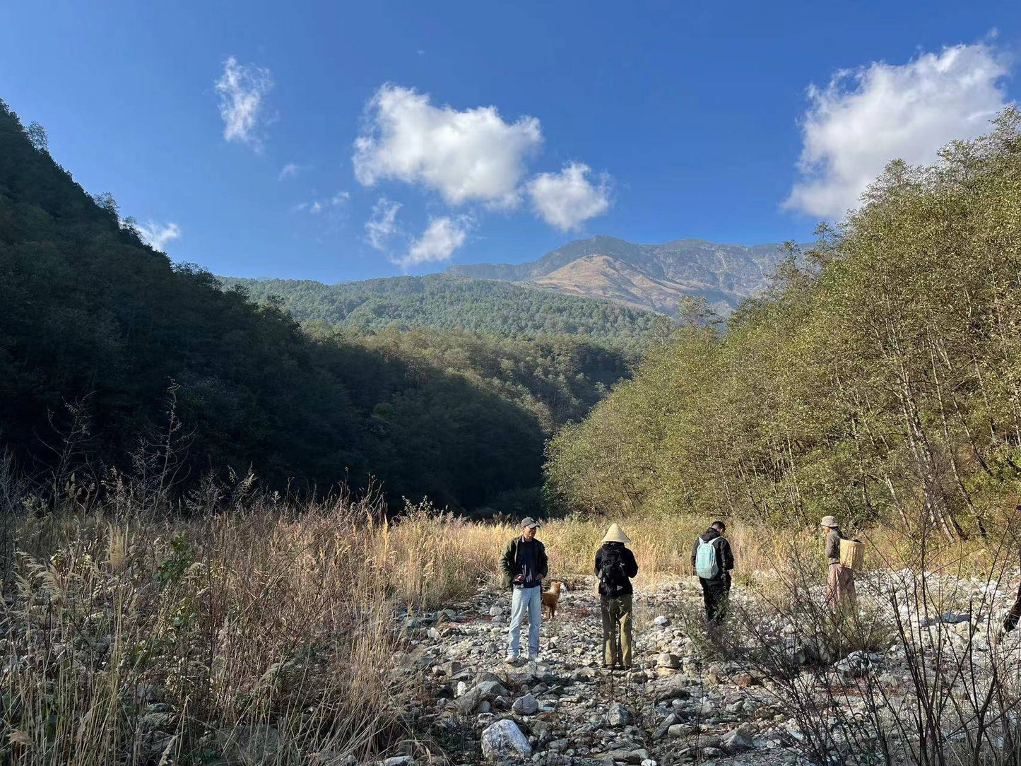 広い松坪軽歩行 | 田園・小川・森 