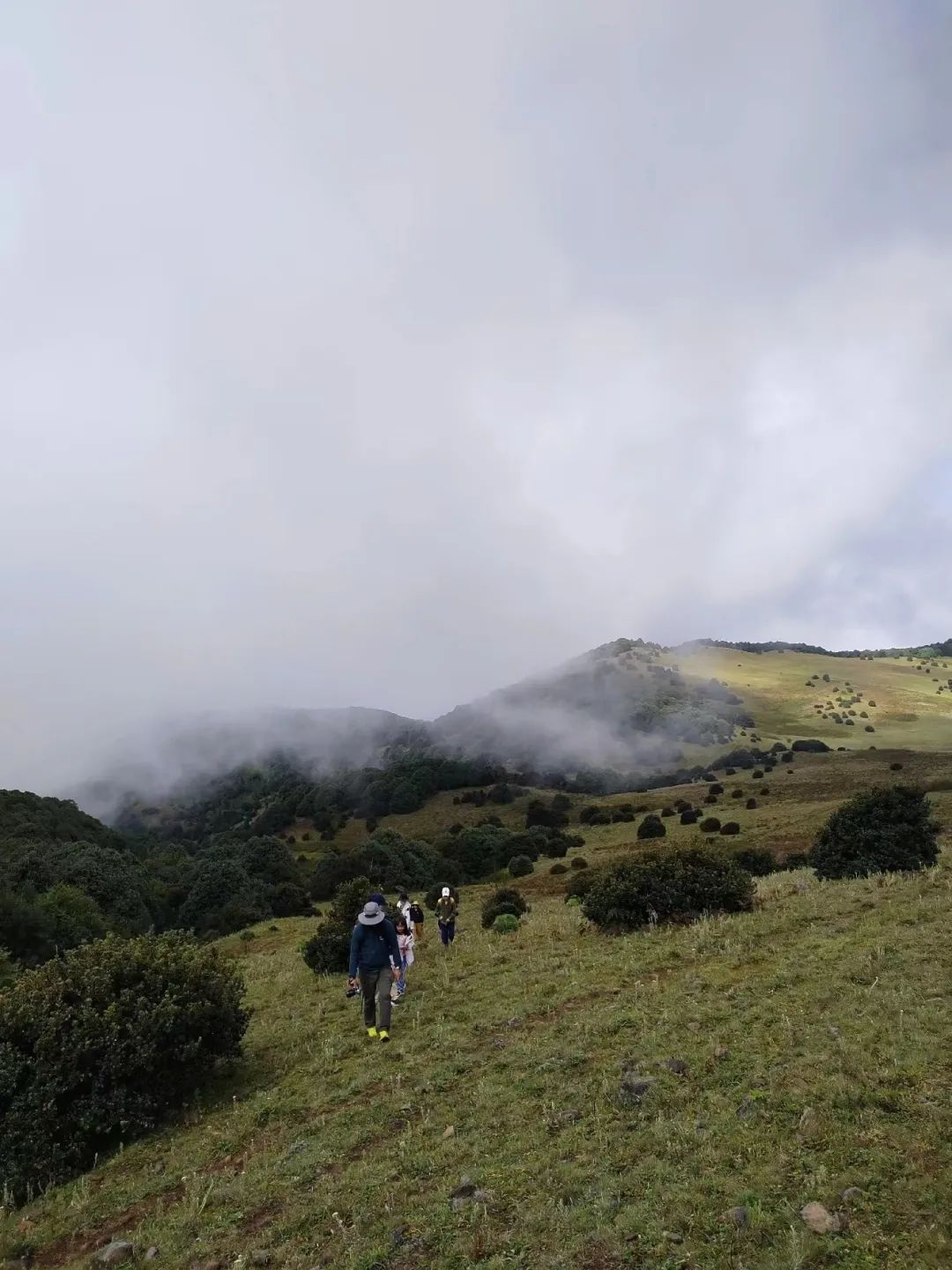 Wanderung zum Berg Jizu | Ein buddhistischer Pilgerweg (mittlere Distanz)