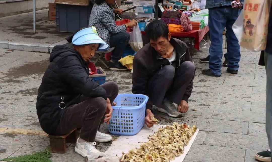 En bicicleta por Dali | Explorando los pueblos y la gente al pie de la montaña Cangshan