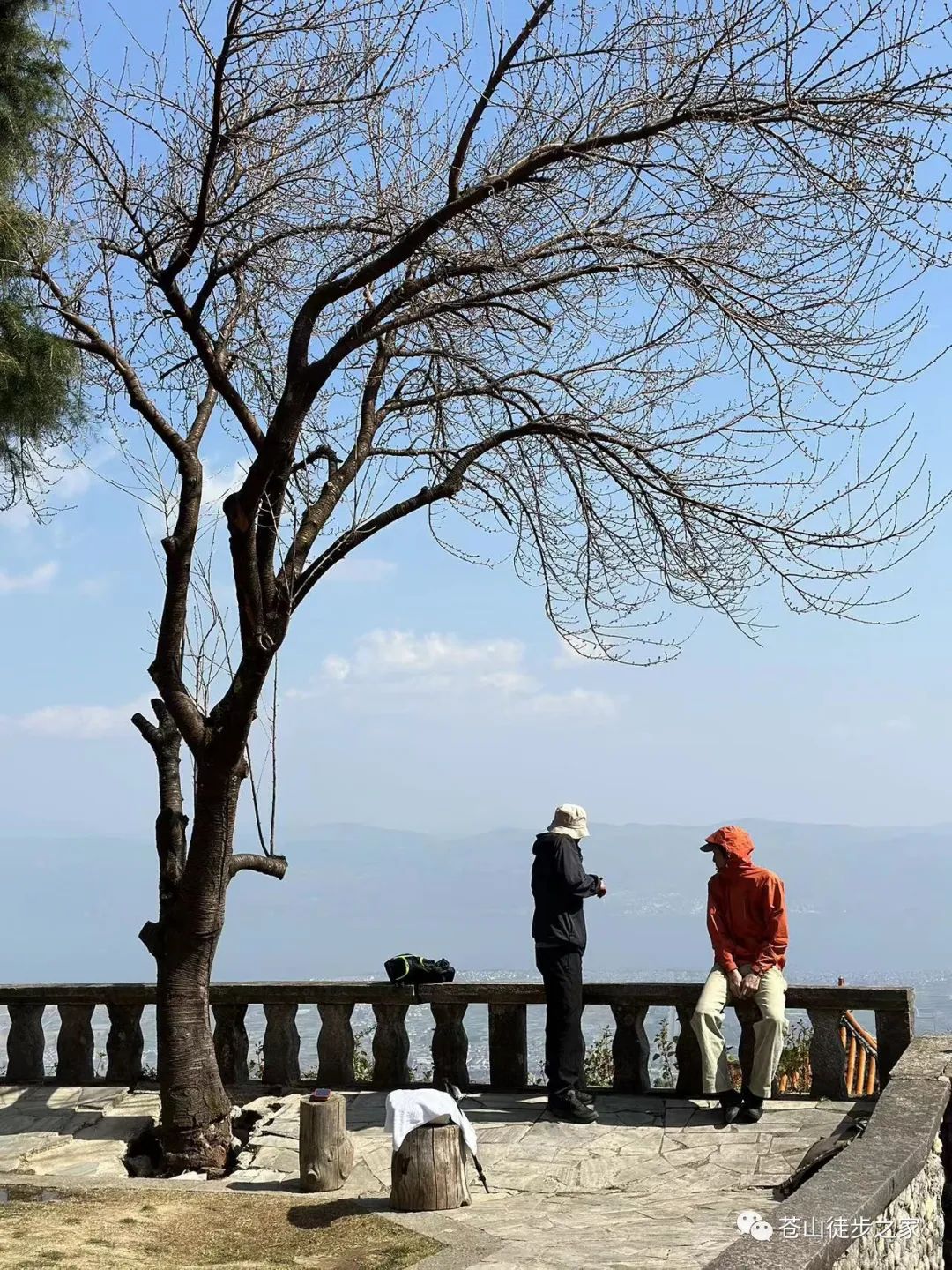 徒歩で中和寺に到着し、精進料理を楽しんで、中和大峡谷を横断します（中距離）。 