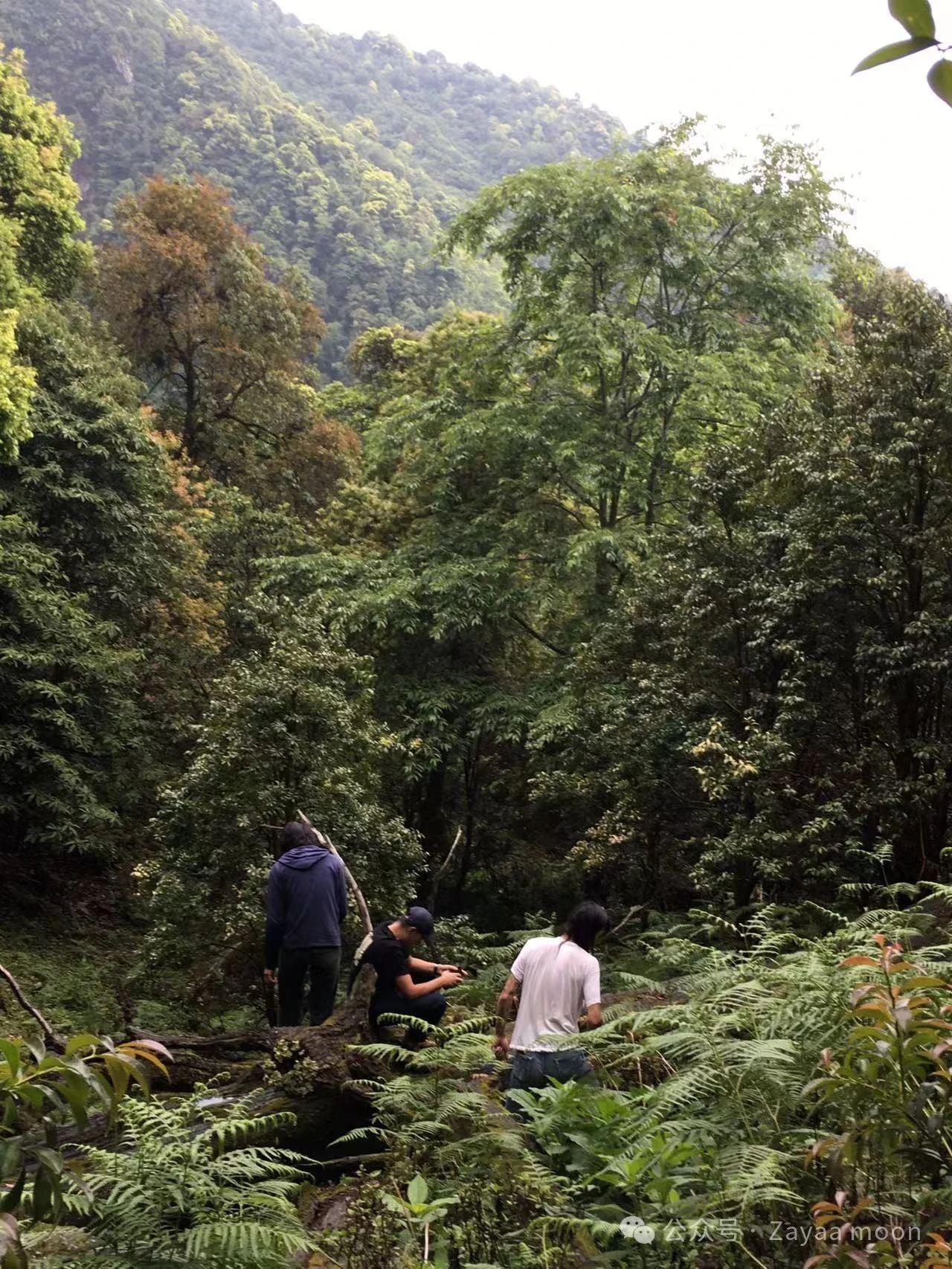 西坡深山里“亲戚”家的一天 | 苍山的另一边