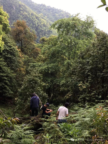 Ein Tag im Haus eines „Verwandten“ in den tiefen Bergen von Xipo | Die andere Seite des Cangshan-Berges