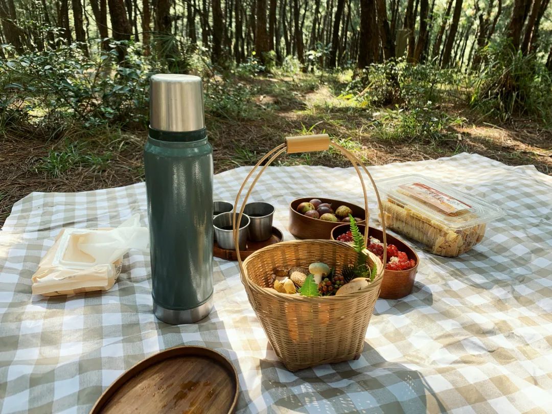 （6-10月）山に登ってキノコを採る | 農家でキノコ料理を食べる 