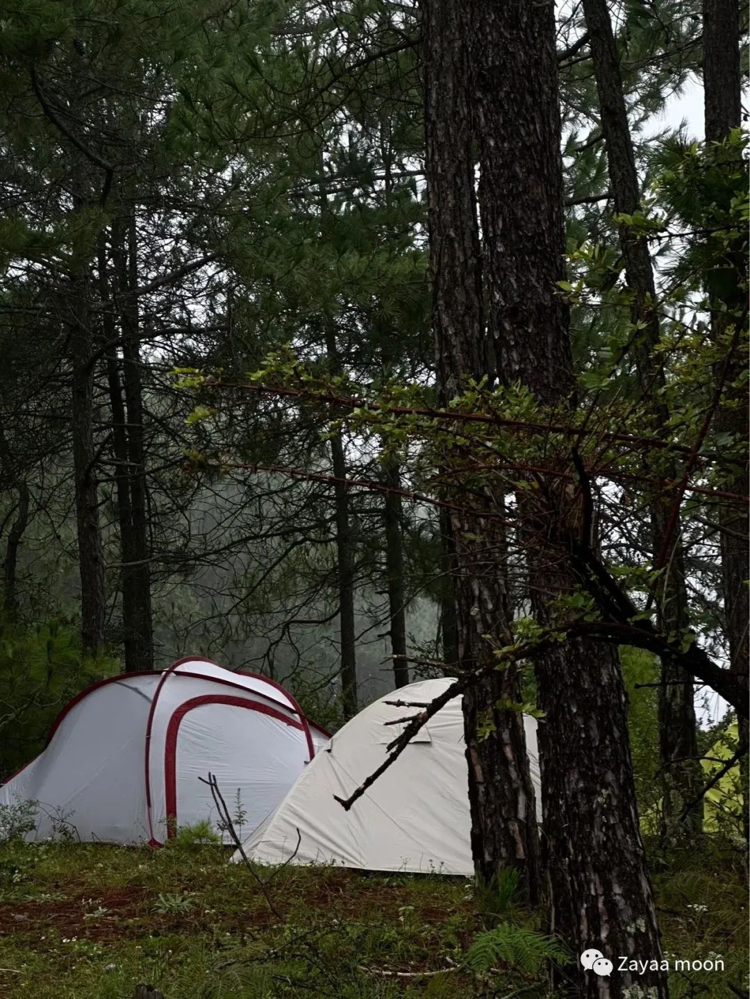 Acampada en la isla y en el bosque del lago | Embalse de Jizi