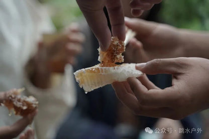 (6,7월) 산에서 매실 따기 | 청매실주 한 병 담그기