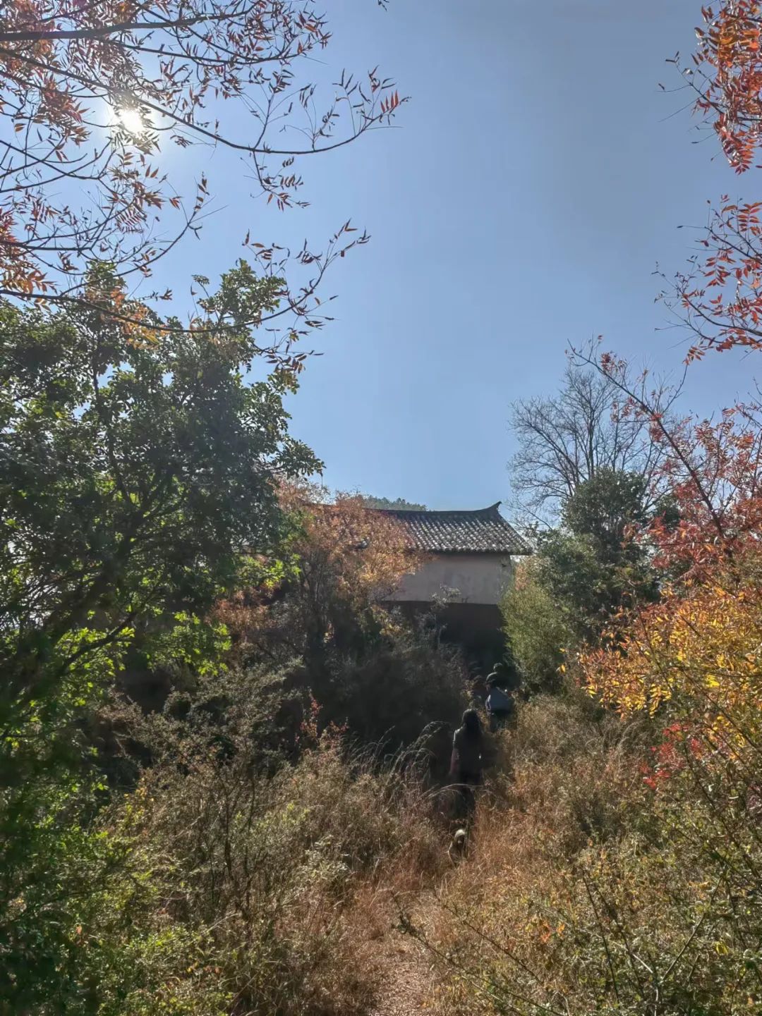 ノデン村を探索する：千年の塩と馬の古村への2日間の旅 