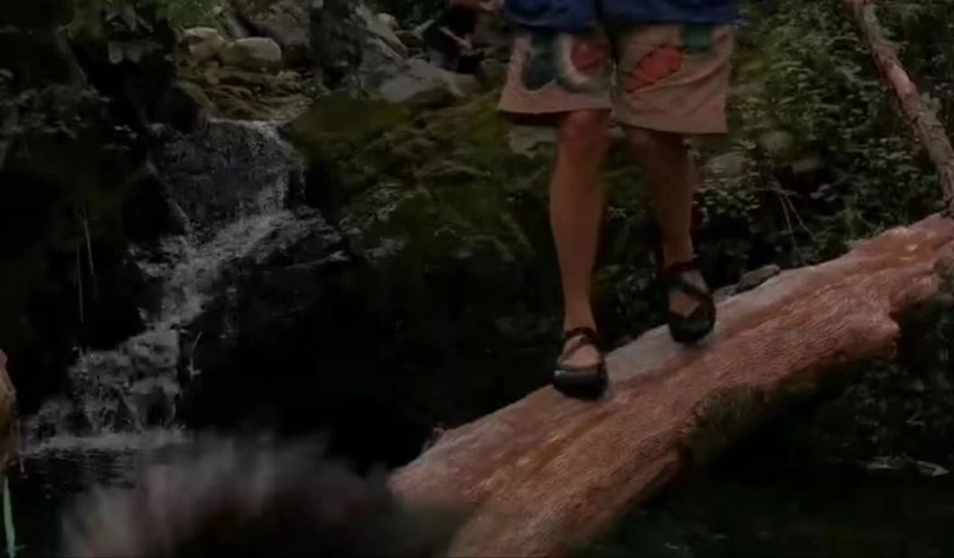 Caminata por el río en el arroyo para niños de 6 años en adelante