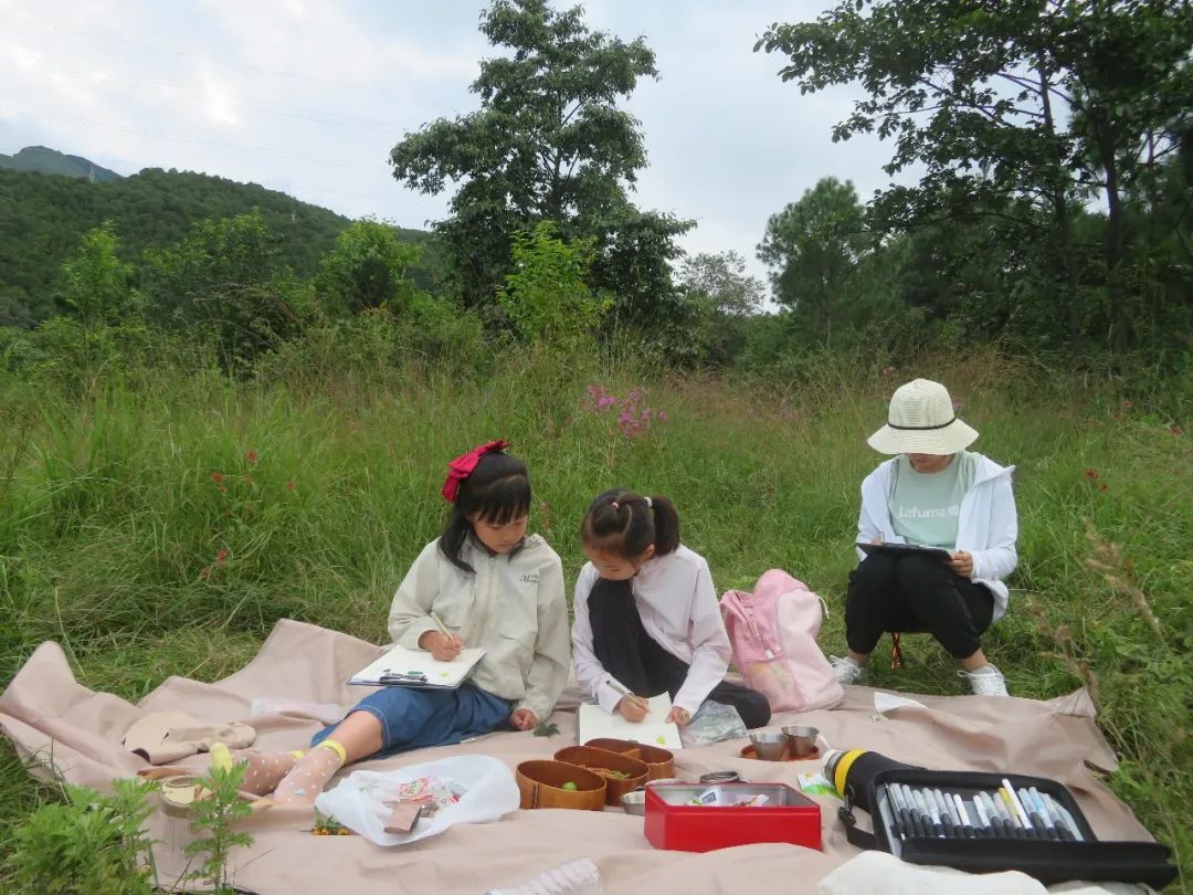 自然観察とノート | 鳥類、植物、昆虫 