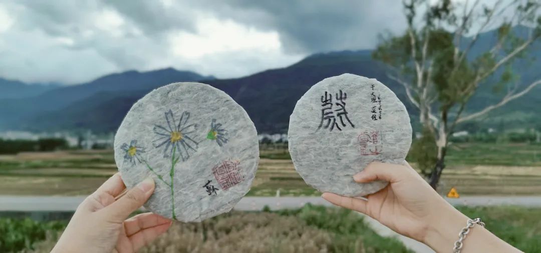 自分のプーアル茶を一餅作る 