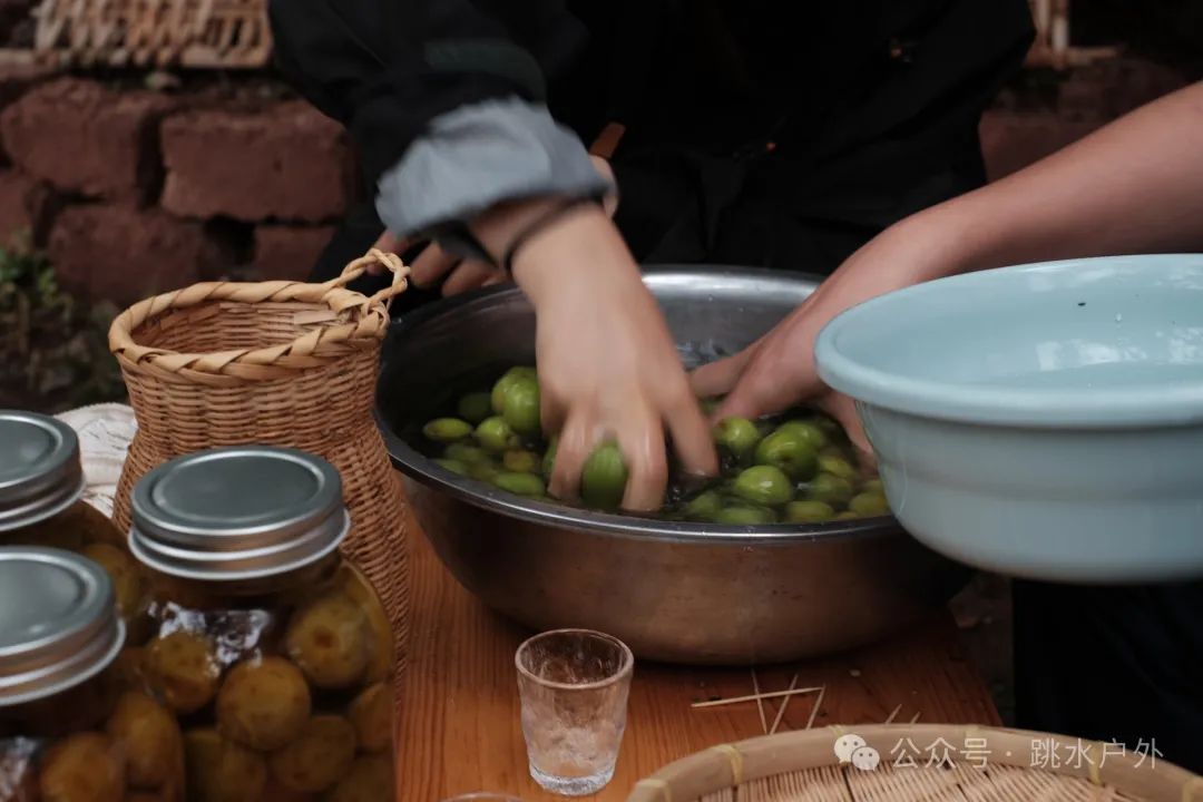 (Juin et juillet) Cueillette de prunes en montagne | Brassage d'une bouteille de vin de prune verte 