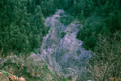 Un día en la casa de un &quot;pariente&quot; en las profundas montañas de Xipo | El otro lado de la montaña Cangshan