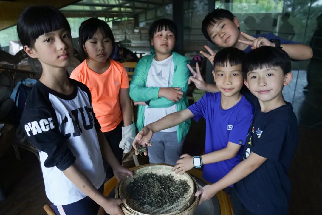 (April-November) Tea picking and tea frying | Tea garden by the stream