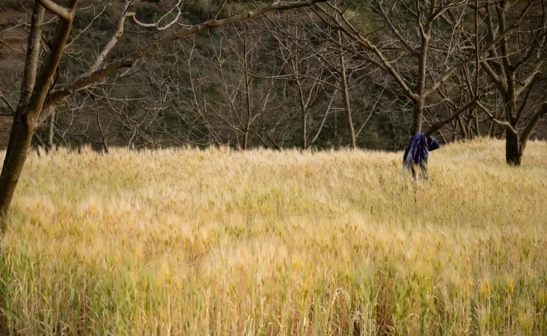 시포 깊은 산 속 &#39;친척&#39; 집에서 보낸 하루 | 창산의 저편