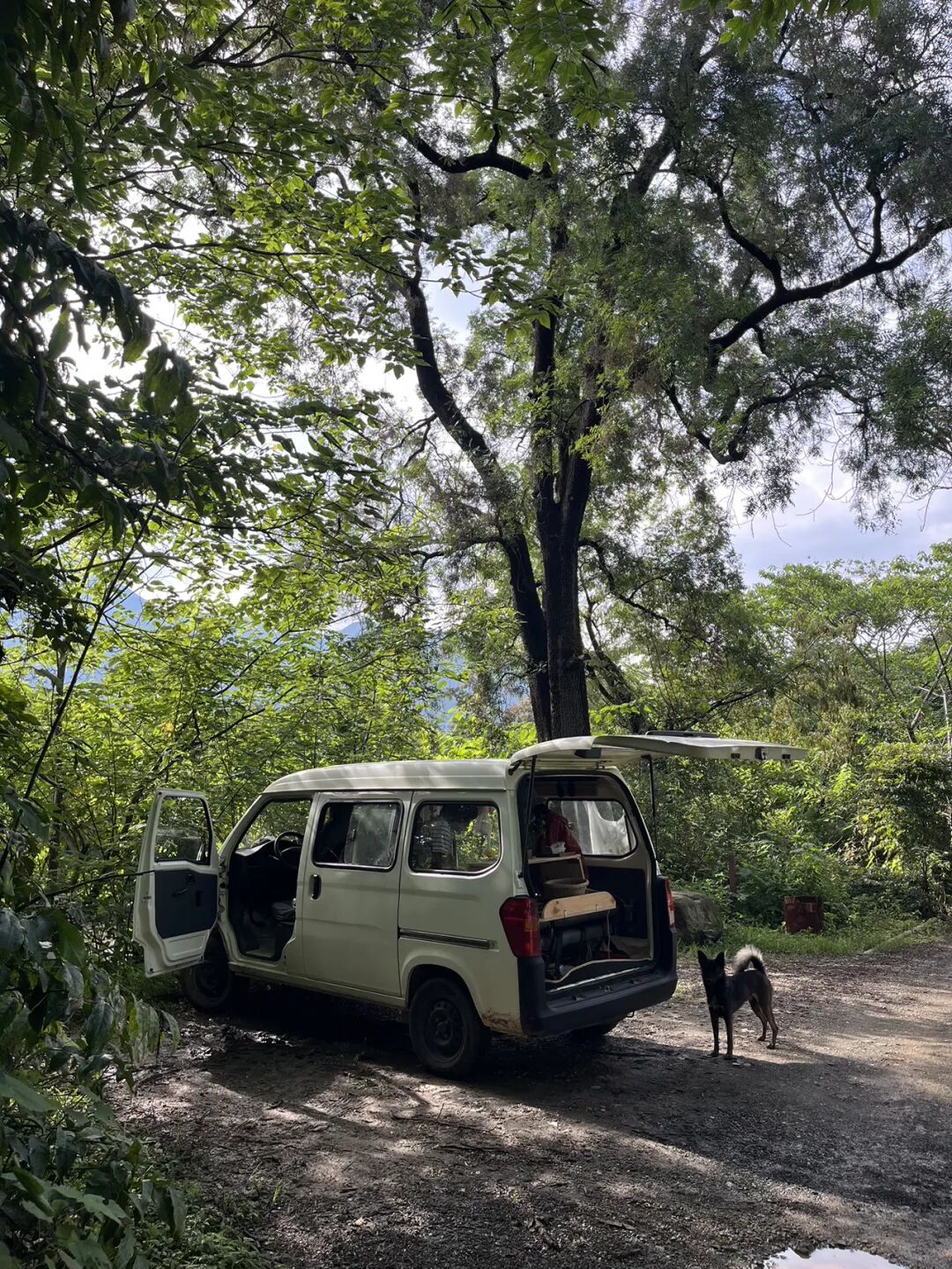面包车旅行 | 乡村树林和植物的采集·野餐