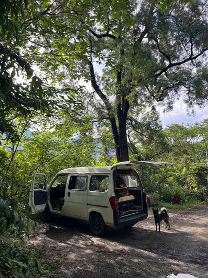 面包车旅行 | 乡村树林和植物的采集·野餐
