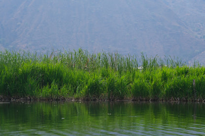 ท่องเที่ยวชนบทเอ้อหยวน | เวิร์กช็อปทำโรยซาน ล่องเรือ เดินเล่นในชนบท และบ่อน้ำพุร้อนริมทุ่งนา