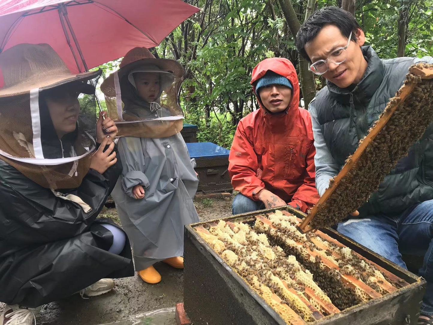 春雨 