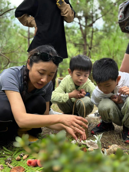 Li Zhenhao | Pequeño paisaje de hongos en la montaña Cangshan