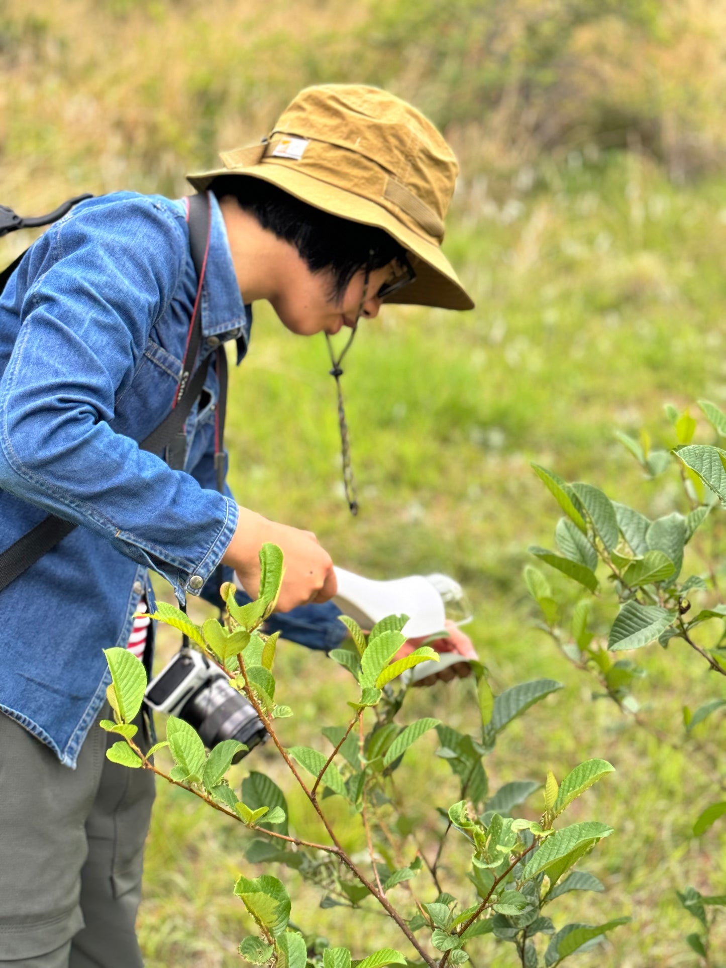 Hướng dẫn cùng nhau