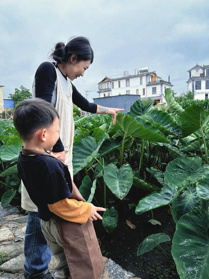 Học cách làm bánh hoa hồng Dali với Aruna