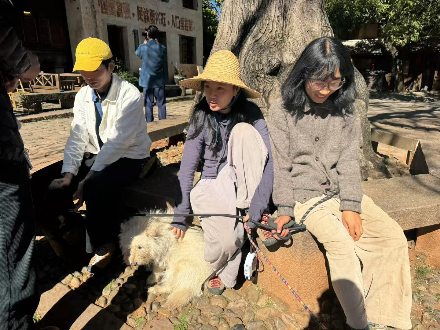 沙溪两天旅行：茶马古镇·山谷里的佛教石窟·乡村生活