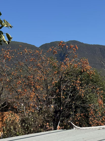 沙溪两天旅行：茶马古镇·山谷里的佛教石窟·乡村生活