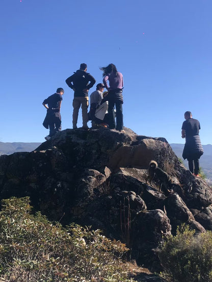 Excursión de dos días a Shaxi: antigua ciudad del té y los caballos, grutas budistas en el valle, vida rural