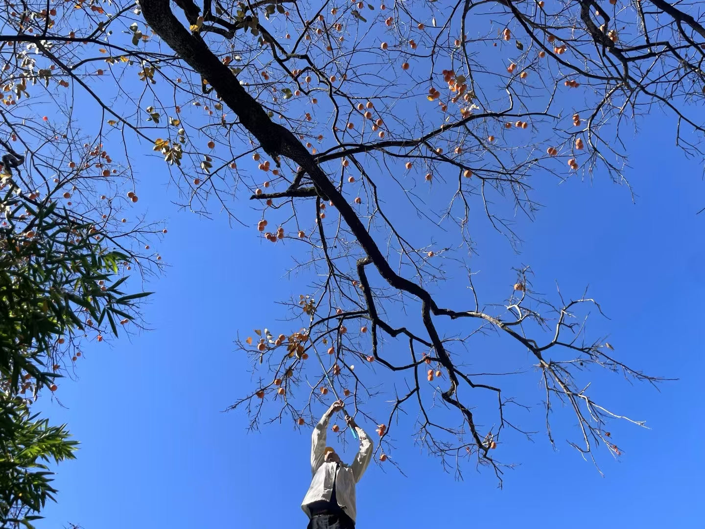 沙溪兩天旅行：茶馬古鎮·山谷裡的佛教石窟·鄉村生活