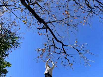 沙溪两天旅行：茶马古镇·山谷里的佛教石窟·乡村生活