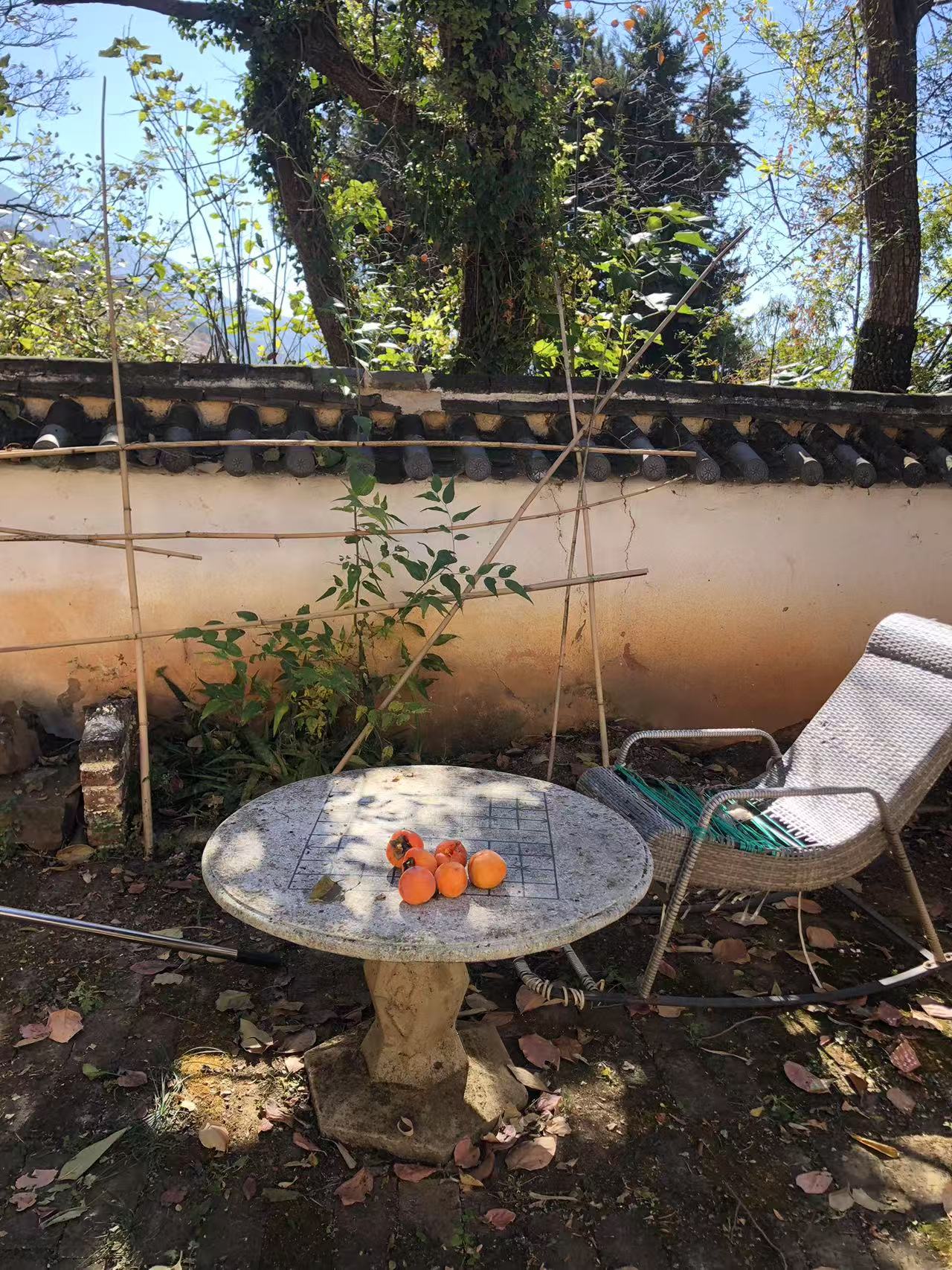 Excursión de dos días a Shaxi: antigua ciudad del té y los caballos, grutas budistas en el valle, vida rural