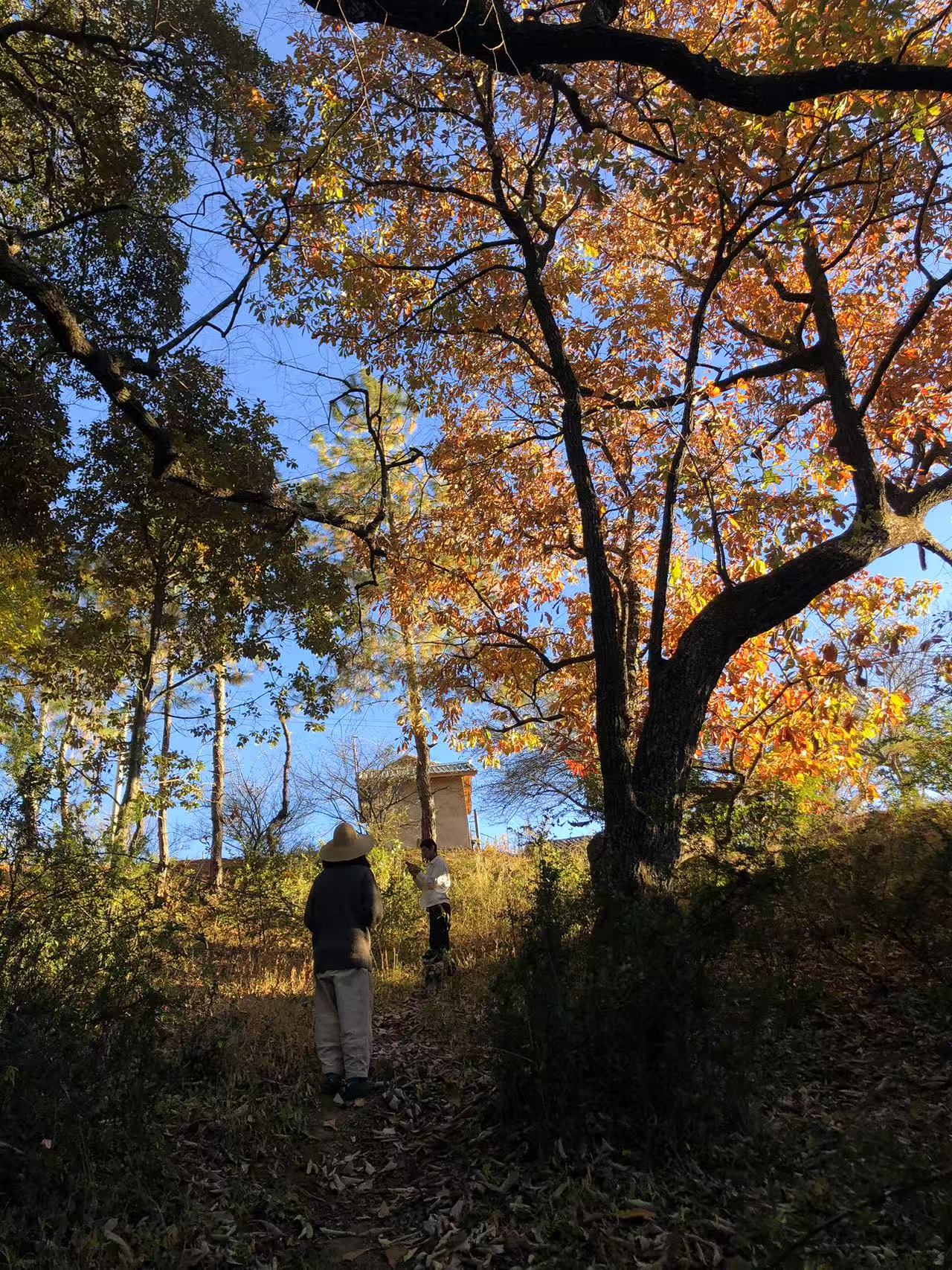 沙溪兩天旅行：茶馬古鎮·山谷裡的佛教石窟·鄉村生活