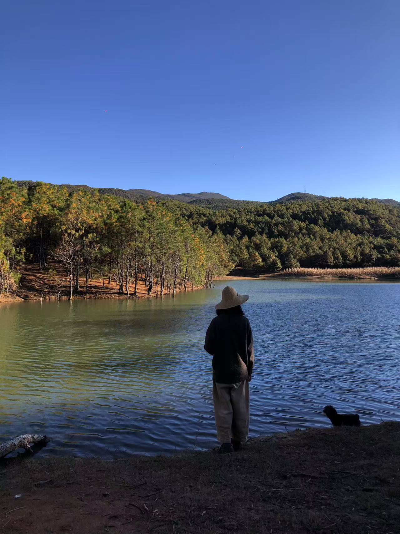 Excursión de dos días a Shaxi: antigua ciudad del té y los caballos, grutas budistas en el valle, vida rural