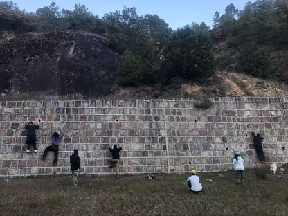 Excursión de dos días a Shaxi: antigua ciudad del té y los caballos, grutas budistas en el valle, vida rural