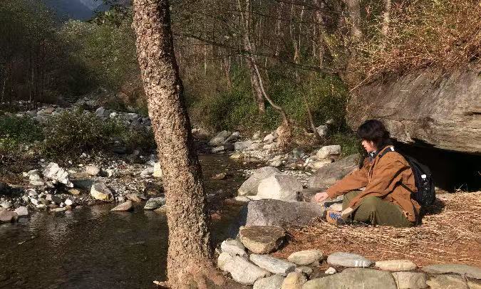 闊松坪輕徒步| 田野· 溪流· 森林