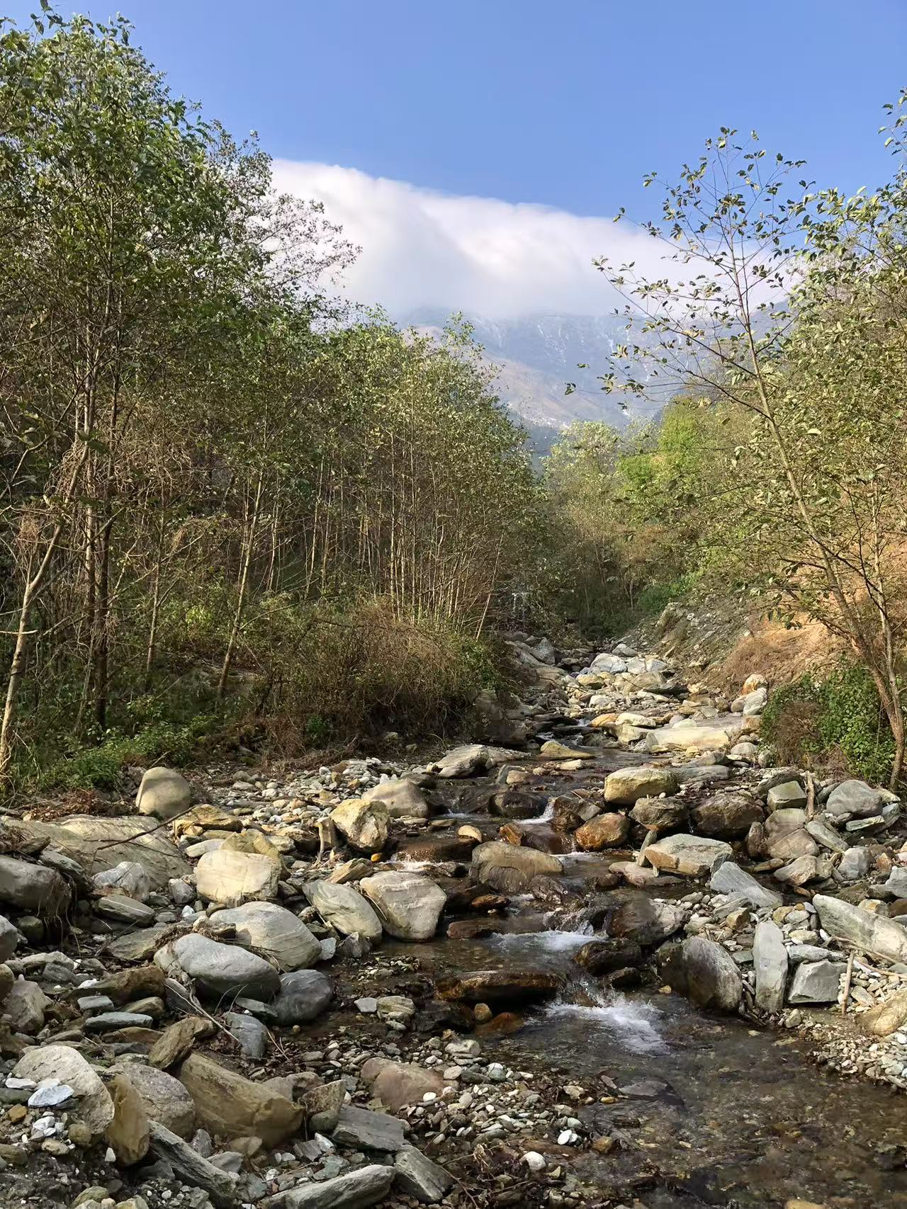 広い松坪軽歩行 | 田園・小川・森 