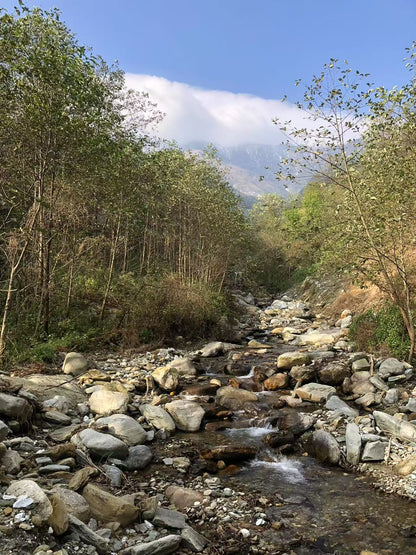 闊松坪輕徒步| 田野· 溪流· 森林