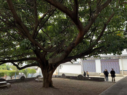 ท่องเที่ยวชนบทเอ้อหยวน | เวิร์กช็อปทำโรยซาน ล่องเรือ เดินเล่นในชนบท และบ่อน้ำพุร้อนริมทุ่งนา