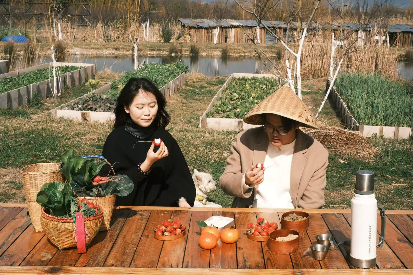 Visita la granja orgánica para recoger frutas | Cocina en casa con Honghong