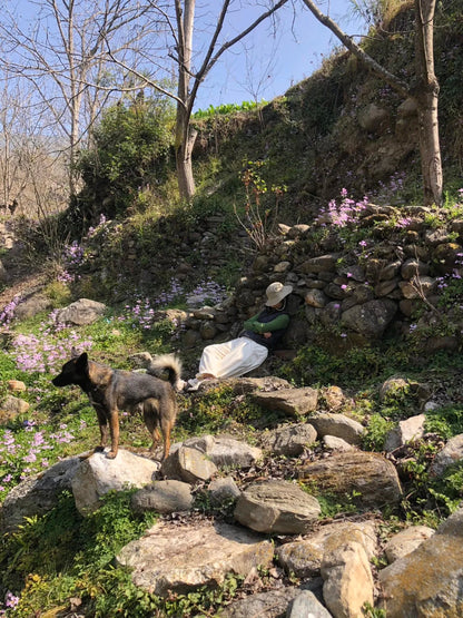 西の山の中の「親戚」の家で過ごした一日 | 苍山の反対側 